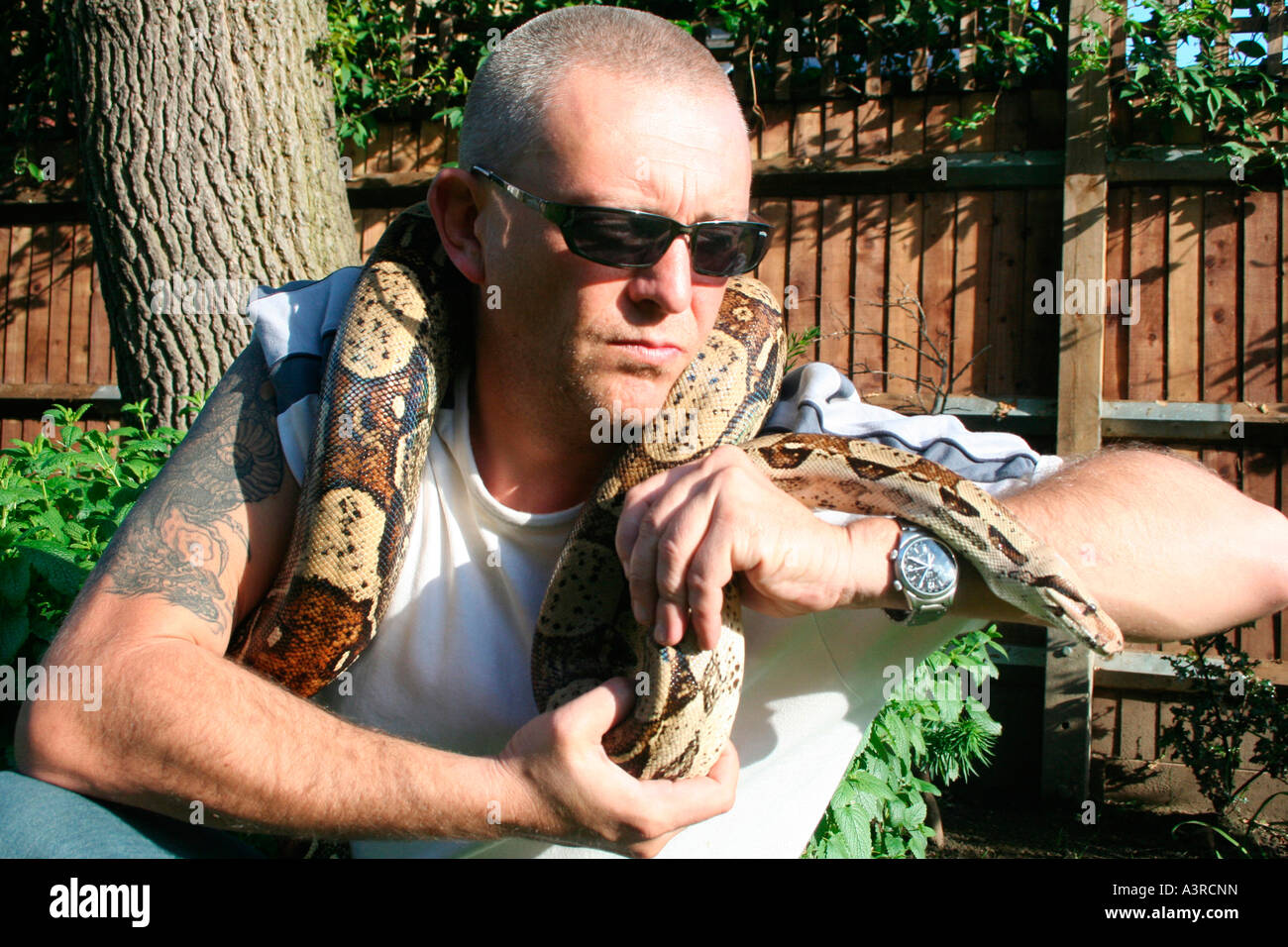 Duro con tatuaggi e pet Boa constrictor Foto Stock