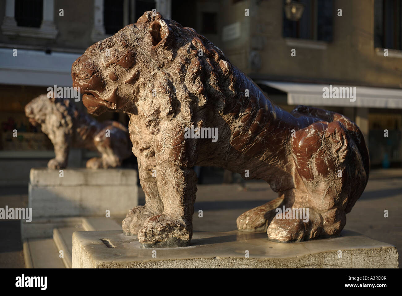 Statue di leoni. Piazza San Marco, San Marco, Venezia, Italia Foto Stock