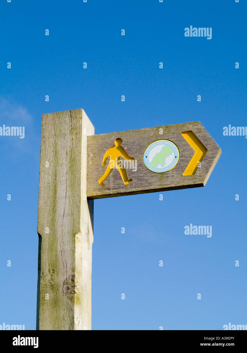 Cartello in legno post per Llyn Sentiero costiero di lunga distanza sentiero su Lleyn Peninsula contro il cielo blu Gwynedd North Wales UK Foto Stock