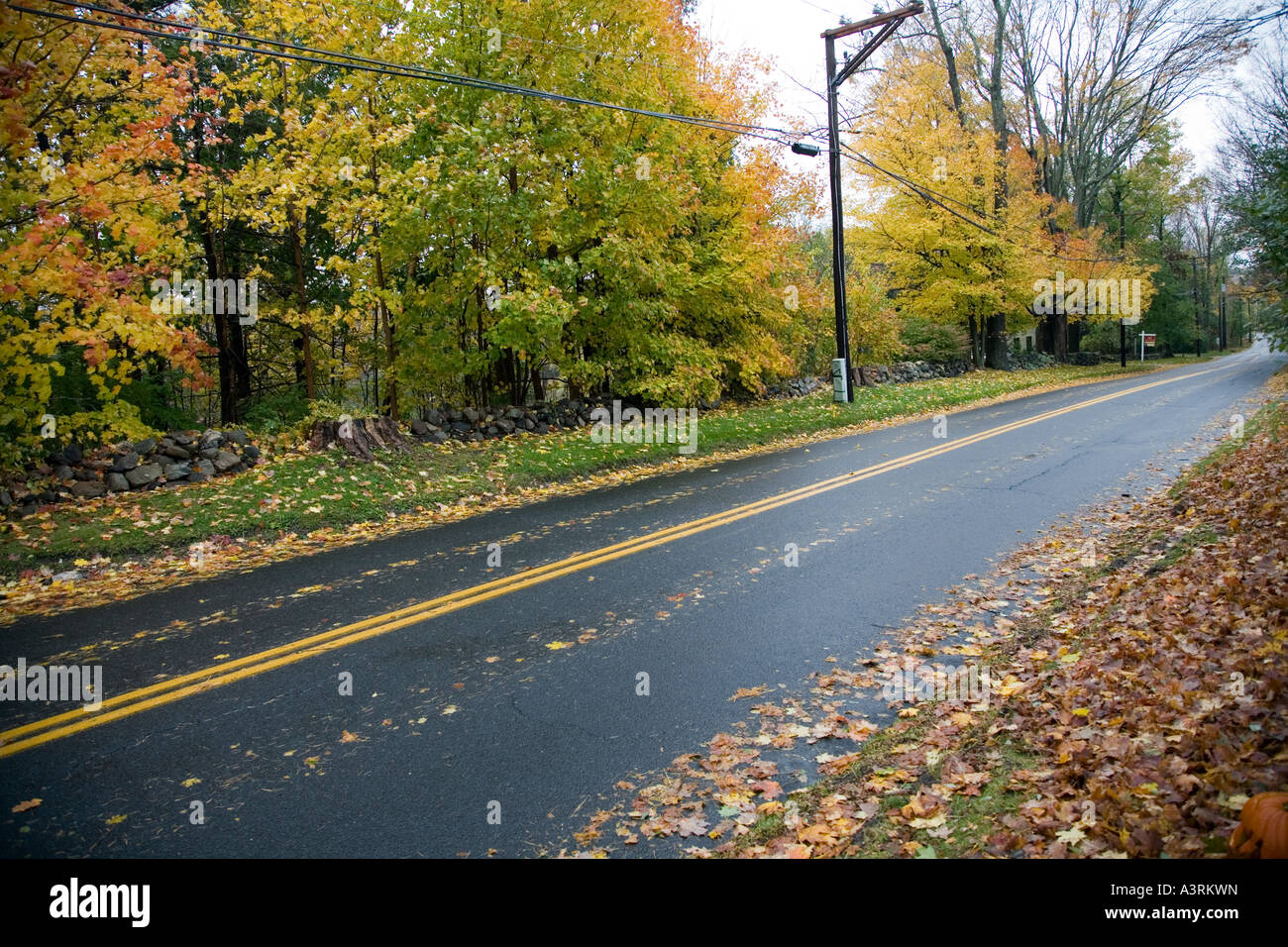 Scena autunnali una strada secondaria e caduta foglie nel Connecticut USA Foto Stock