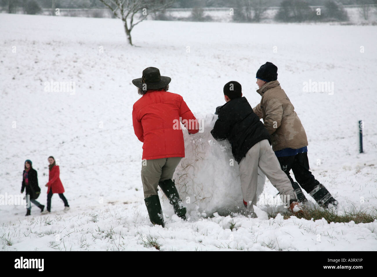 Famiglia rendendo pupazzo di neve sul comune invernale Foto Stock