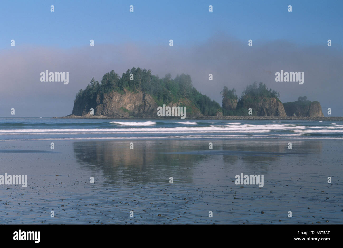 Primo, Spiaggia n. 1, Pazific costa nella luce del mattino, Stati Uniti d'America, Washington, Olympic NP Foto Stock