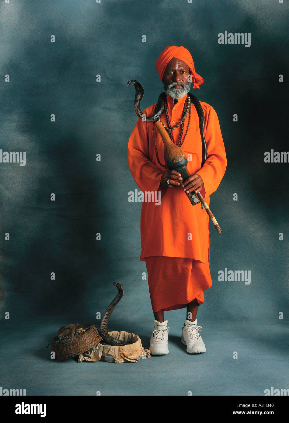 Il serpente incantatore in India Foto Stock