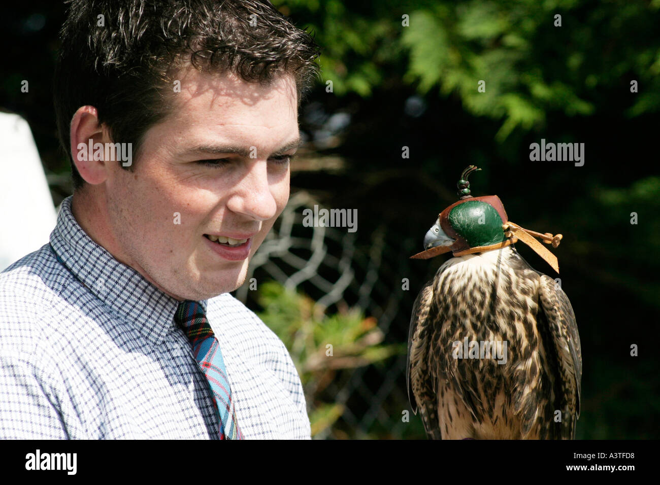 Un gestore di uccello con un allocco Strix aluco presso l'Highland Games sull'isola di Lewis, Ebridi, Scotland, Regno Unito Foto Stock