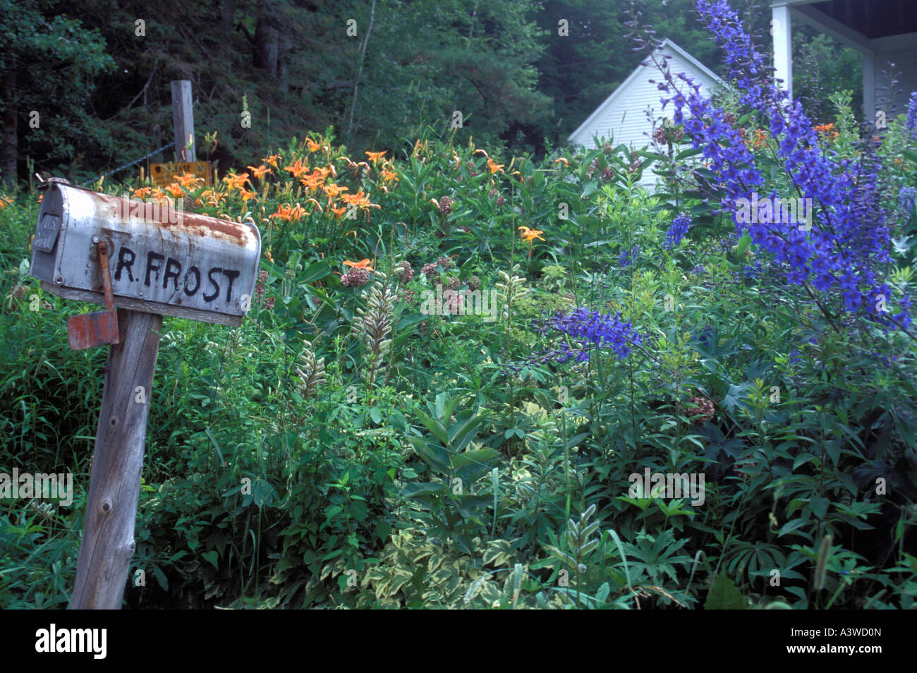 Il luogo di brina, il famoso poeta'S FARM HOME IN FRANCONIA, New Hampshire. L'estate. Luglio. Foto Stock