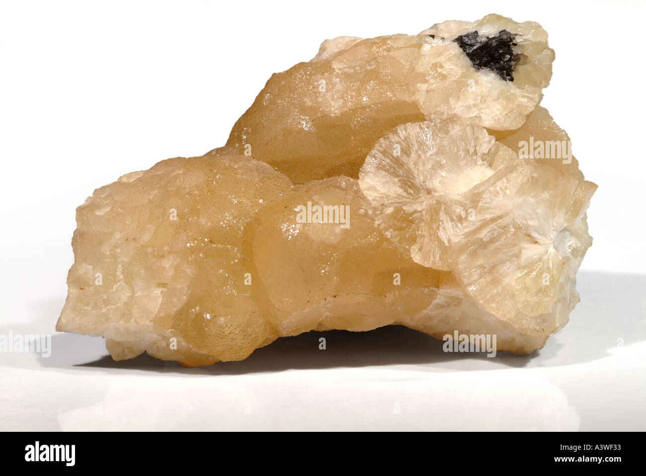Prehnite minerali, verde botroidale massa, Boyleston cava, Barrhead, Glasgow, Scozia Foto Stock