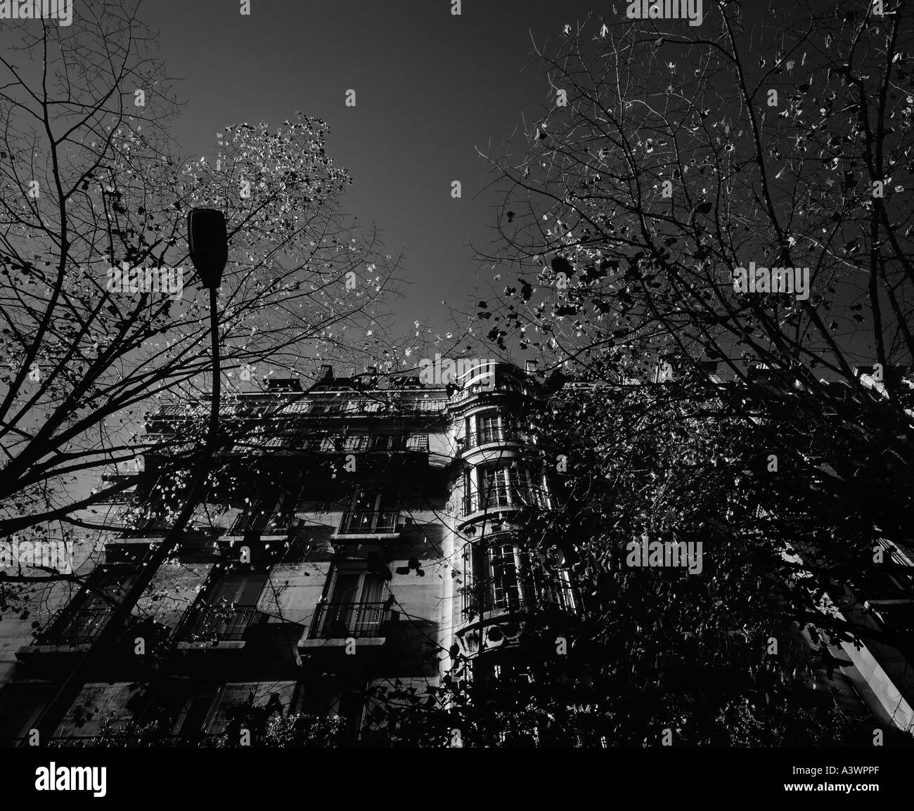 Tipico edificio parigino progettato da Hausmann, Paris, Francia. High-end di scansione 6x7cm la trasparenza. Foto Stock