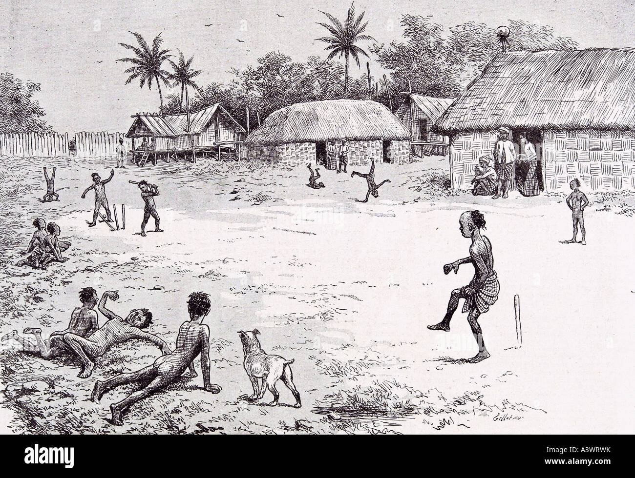 Wicket keeper battitore campo di cricket bat case di cane tetto di paglia la visione di gioco catwheel gettando in bilico emozione gioia palme Foto Stock