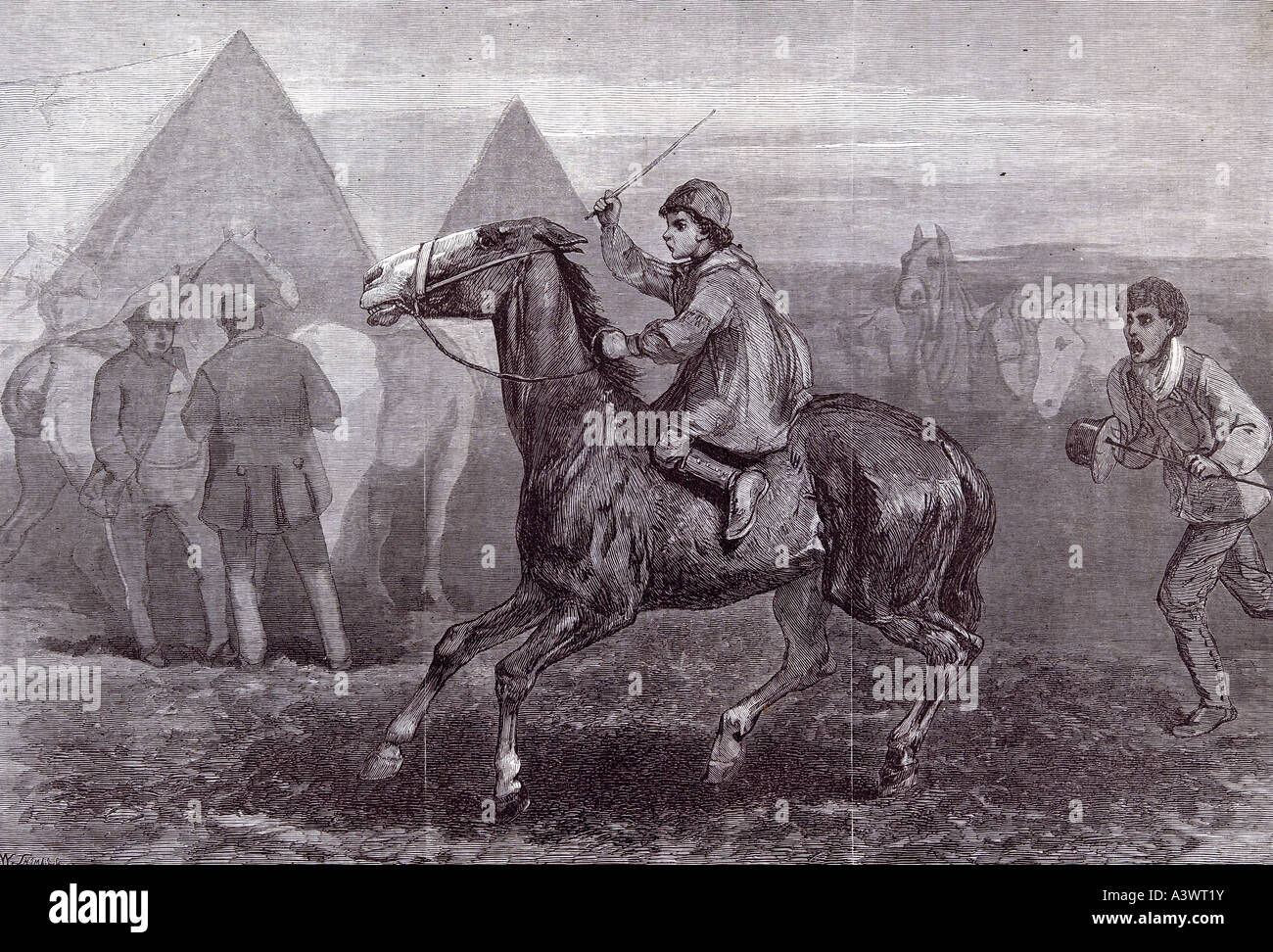 Galoppo frusta gridando cavalli stern forbiding piramide lo sguardo severo arrabbiato paura obiezione spaventati inesperto in esecuzione Foto Stock