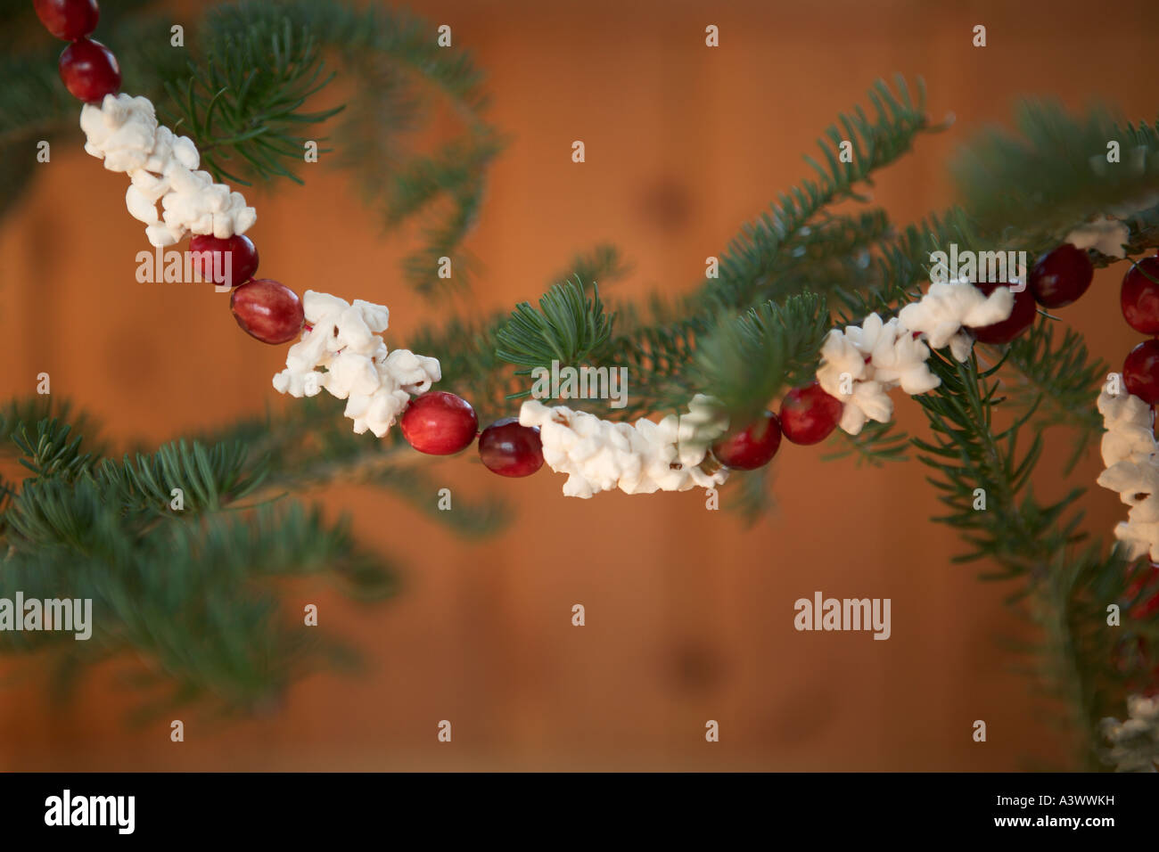 Popcorn e cranberry garland appeso su albero di Natale Foto Stock