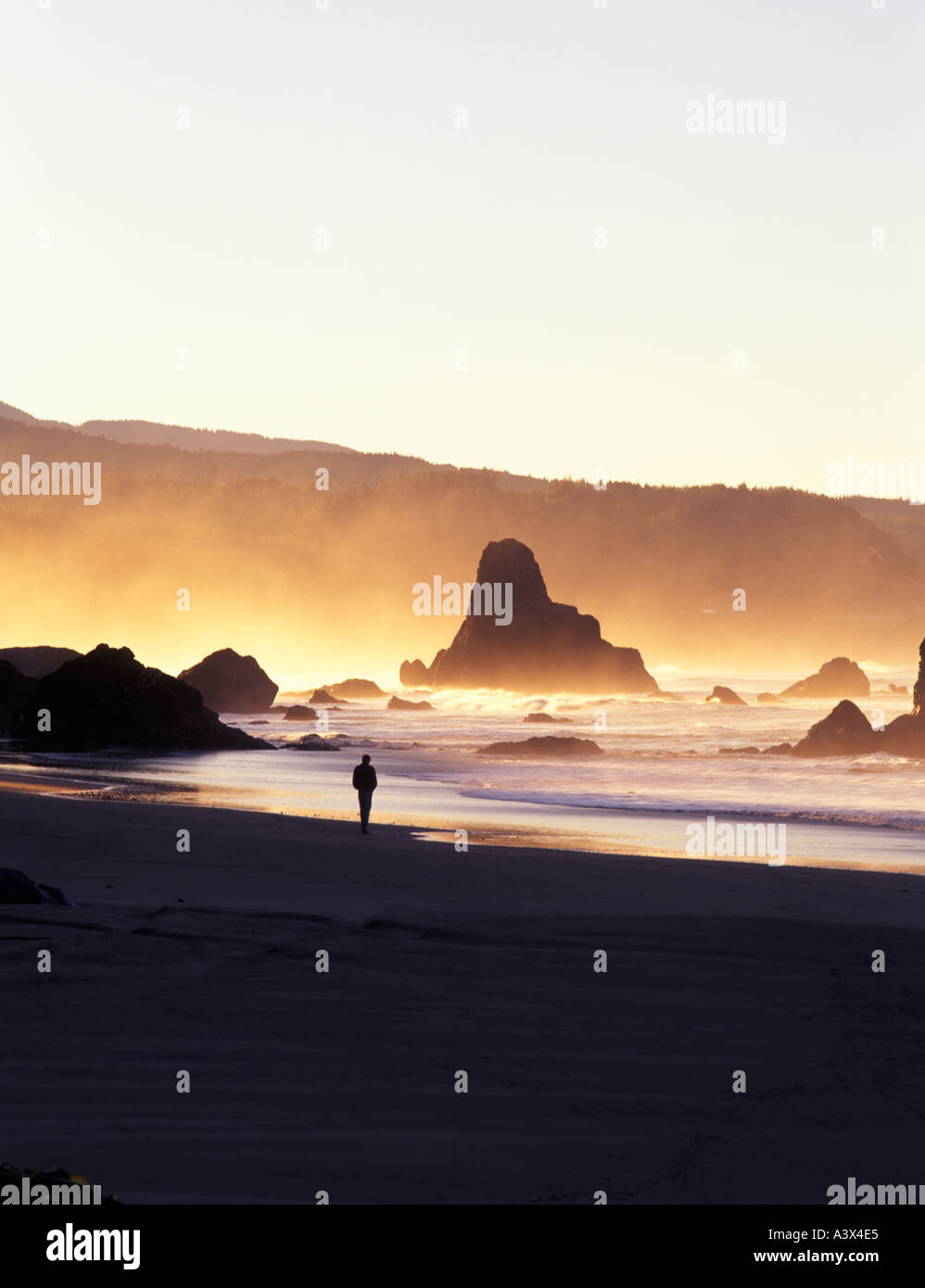 Persona a piedi lungo la spiaggia di nebbia al Port Orford oregon Foto Stock
