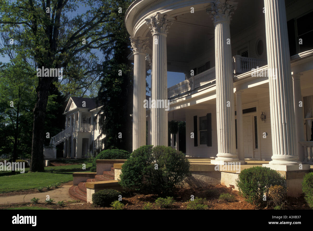 AJ23041, Gainesville, GA, Georgia Foto Stock