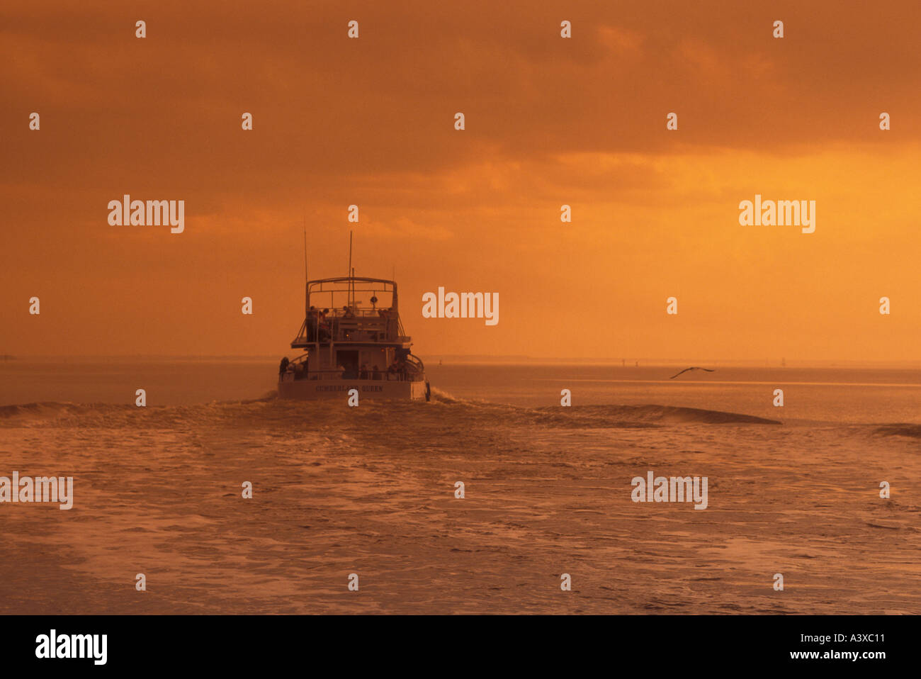 AJ22821, Cumberland Island National Seashore, GA, Georgia Foto Stock