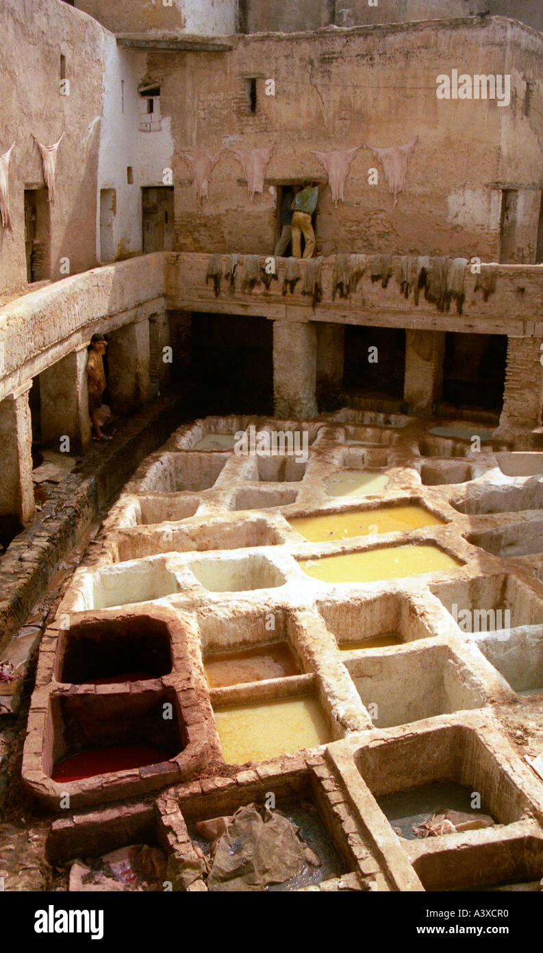 La concia e morendo tini in Fes conceria, Marocco Foto Stock