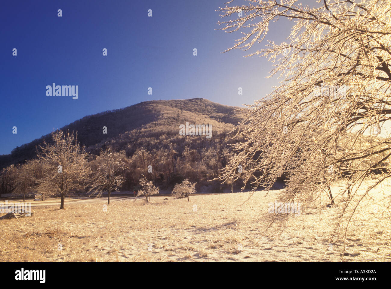 AJ22758, VA, Virginia, Parco Nazionale di Shenandoah Foto Stock