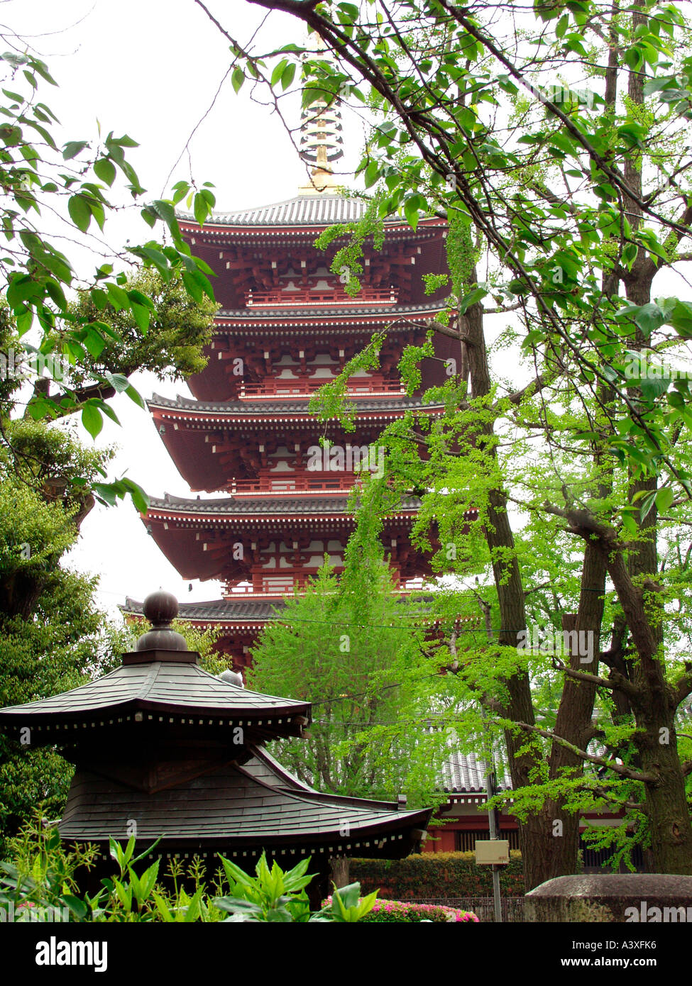 Giappone Tokyo Asakusa tempel Foto Stock