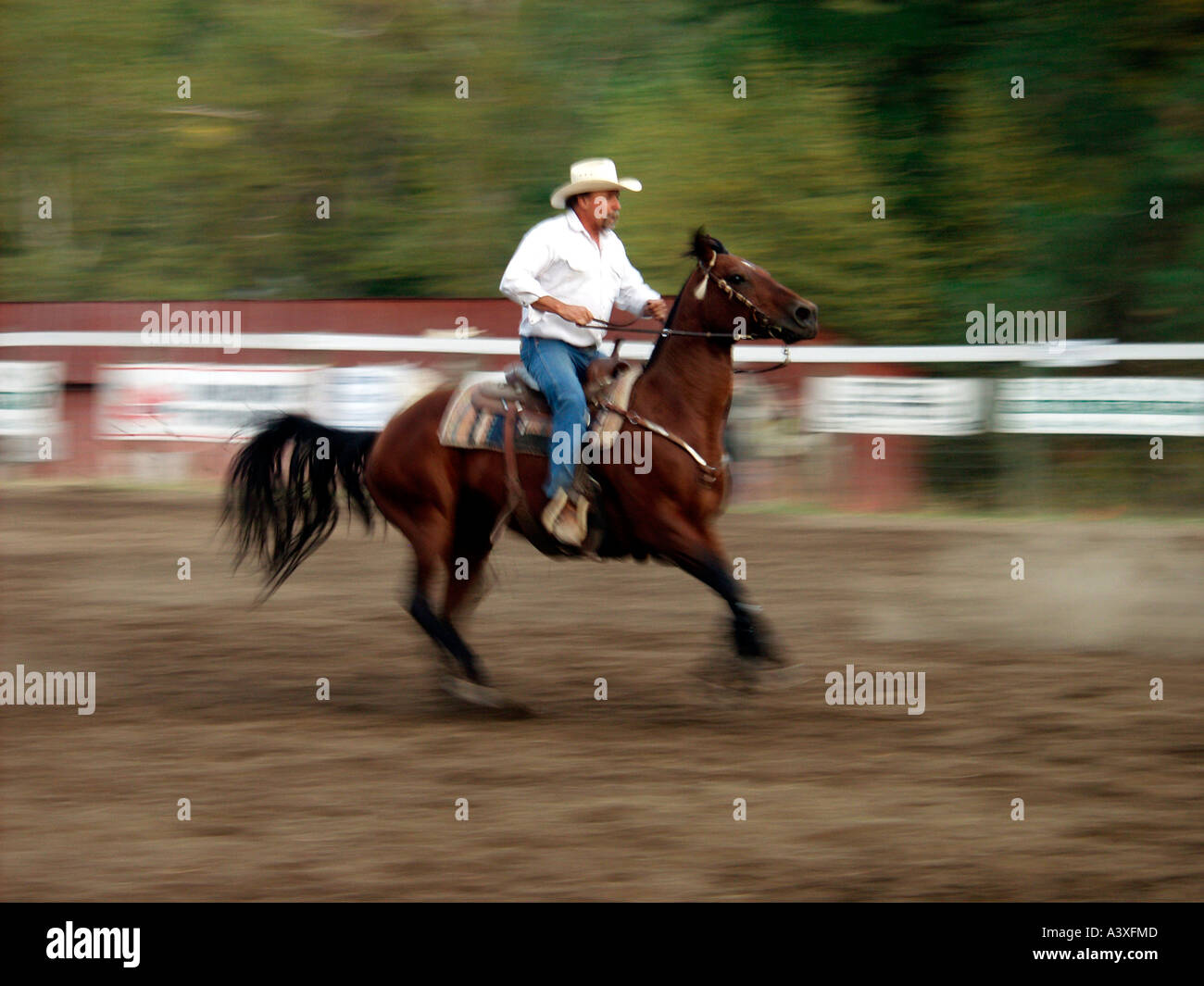 Wetter horsebackriding in Canada Foto Stock