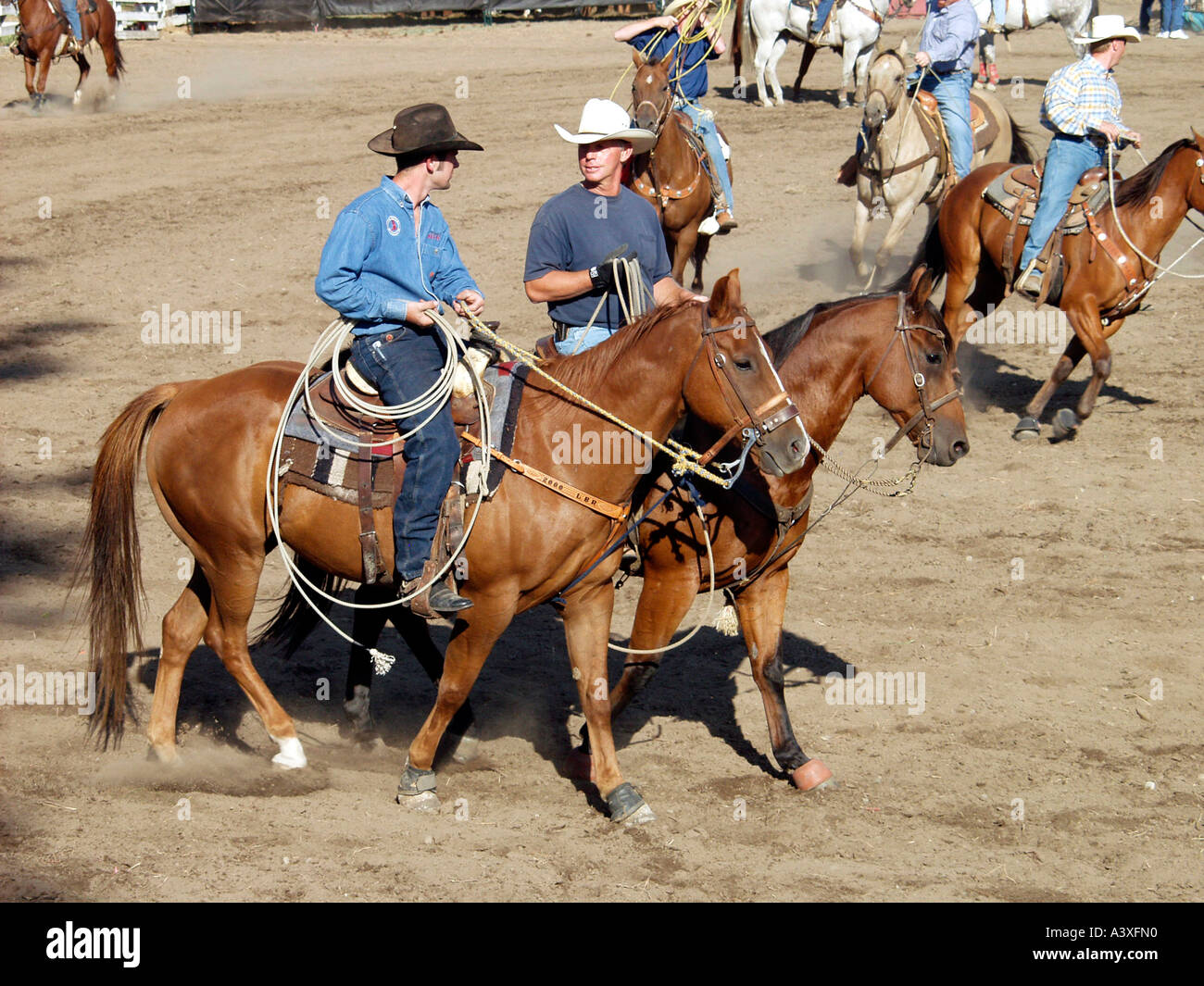 Cowboy in Canada Foto Stock