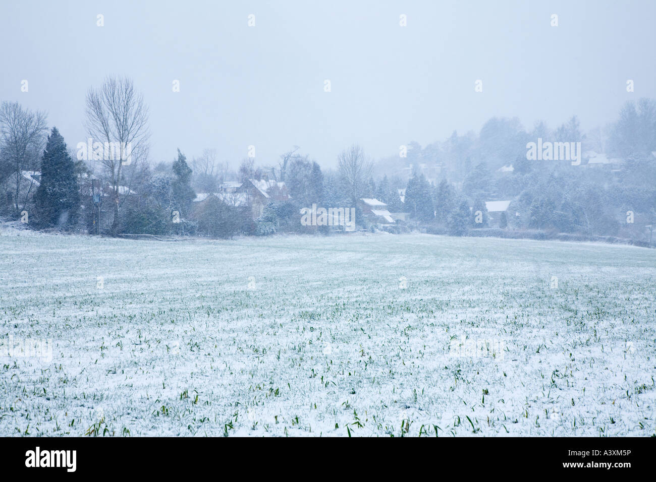 Vista del campo e villaggio in inverno la neve doccia GLOUCESTERSHIRE REGNO UNITO Foto Stock