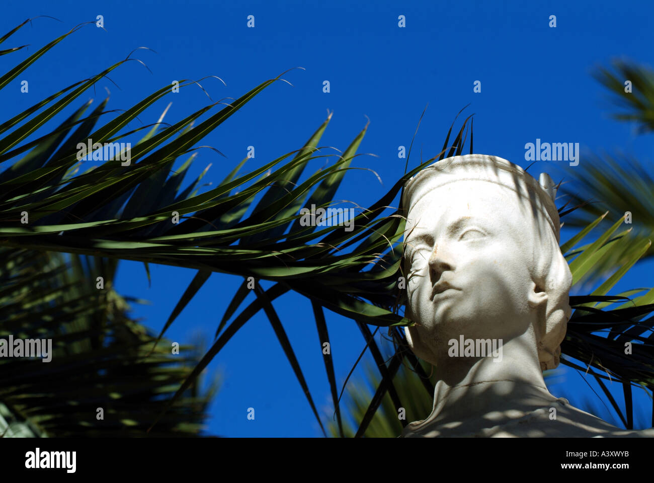 Victoria statua cielo blu Palm tree lascia Gibilterra Foto Stock