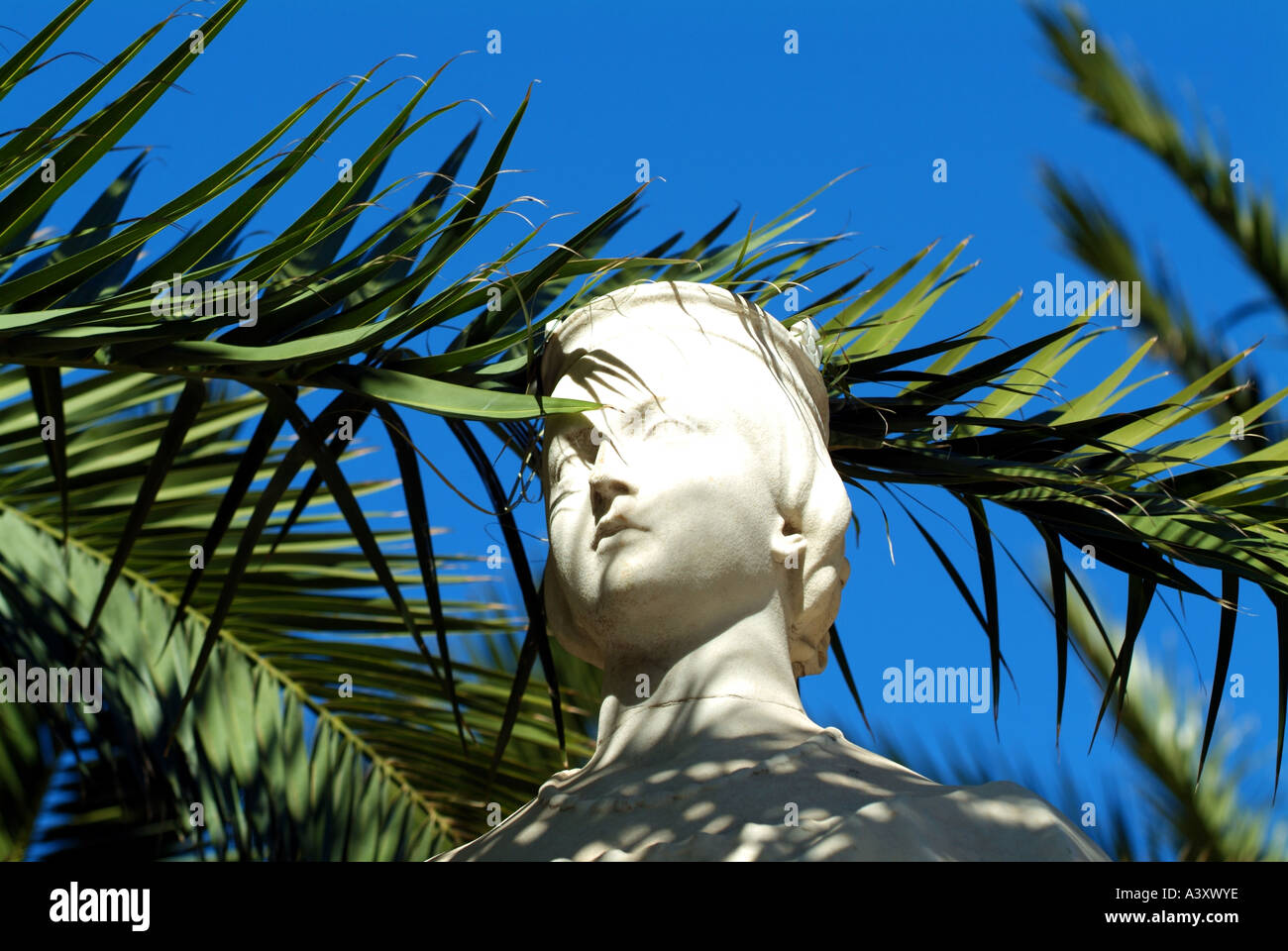 Victoria statua cielo blu Palm tree lascia Gibilterra Foto Stock
