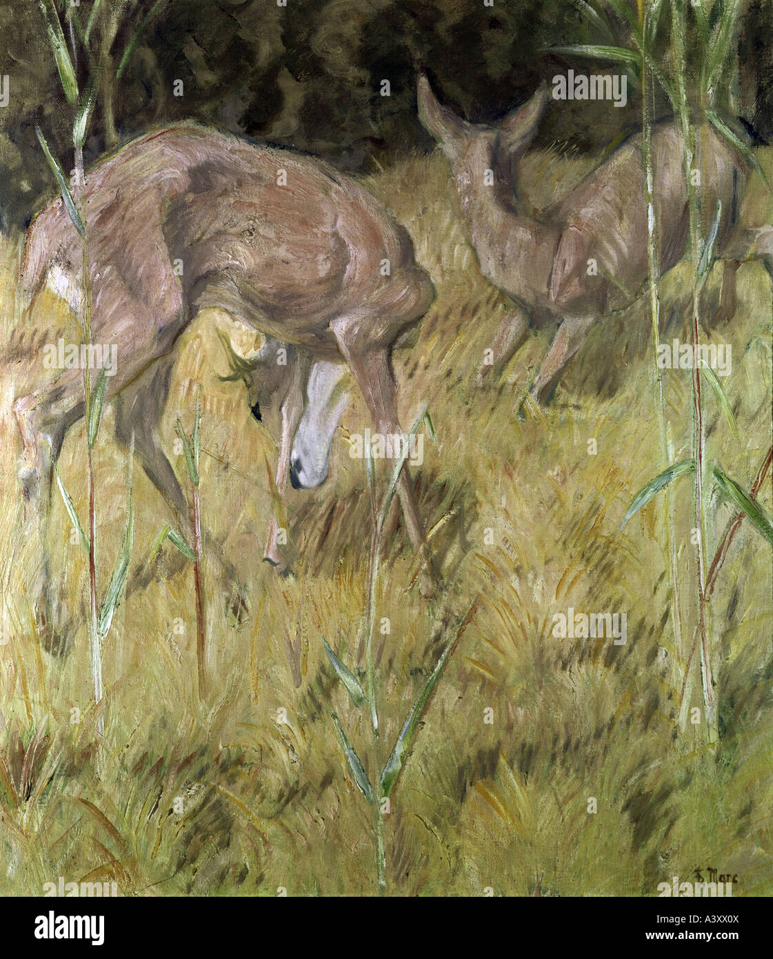"Belle Arti, Marc Franz, (1880 - 1916), pittura, 'Rehe im Schilf', 'deers nel pettine", 1909, olio su tela, 88,5 cm x 78,5 Foto Stock
