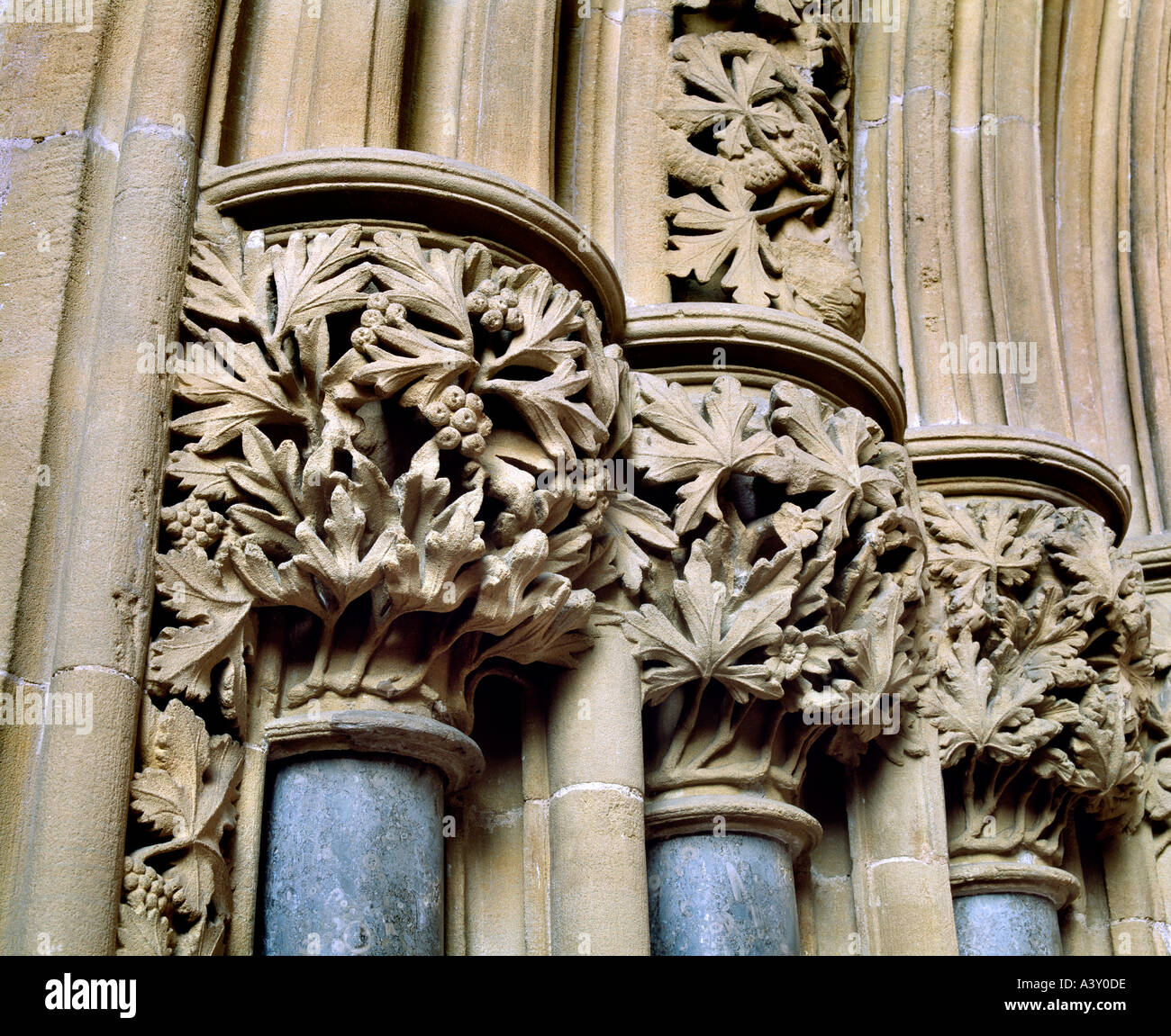 Riccamente intagliati muratura in pietra che ornano i capitelli delle colonne all'interno di Southwell Minster chapter house, Southwell. Foto Stock