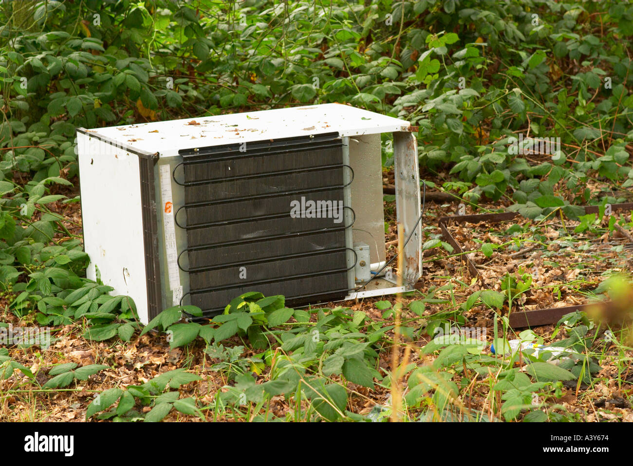 Volare il ribaltamento disposto frigorifero nel bosco Foto Stock