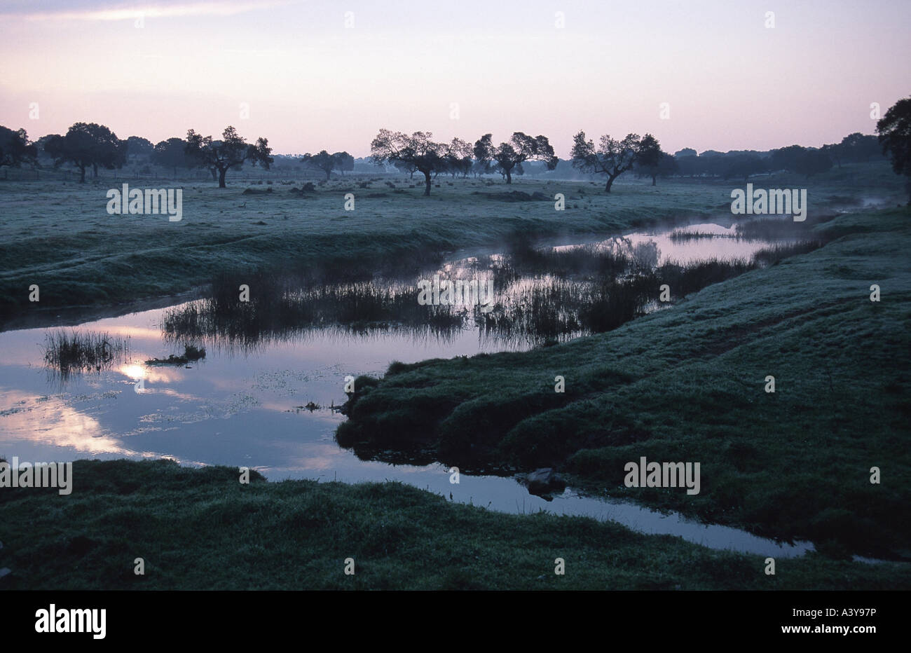 Tratto di pianura bevor sunrise, Spagna Estremadura Foto Stock