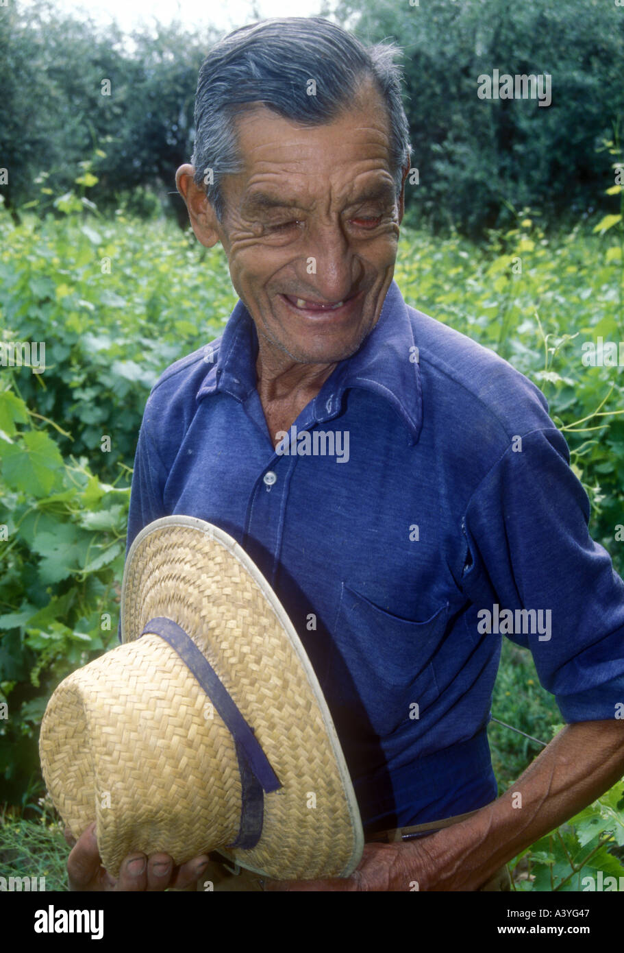 Vigneto l uomo dal Maipu in western Argentina Foto Stock