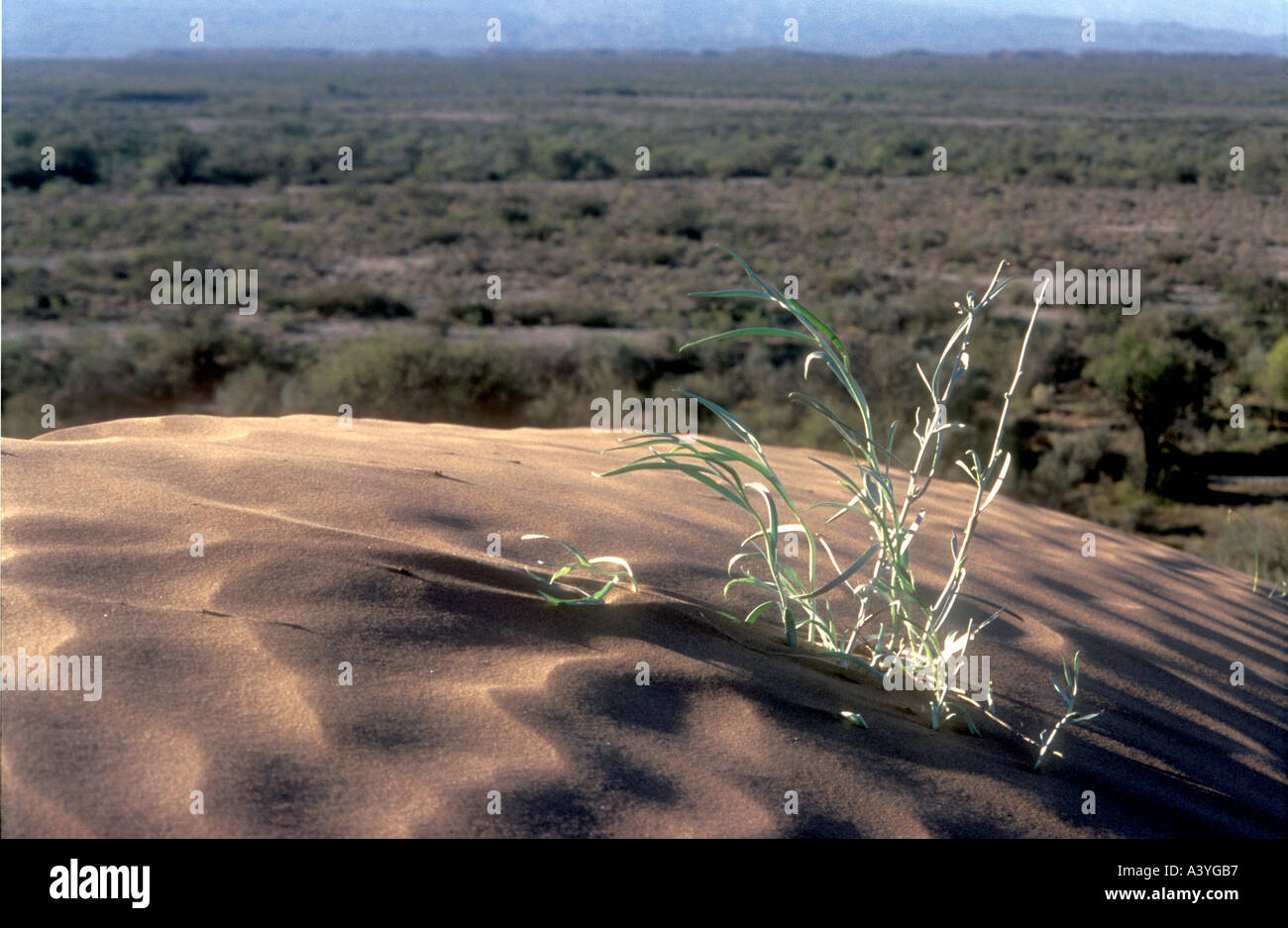 Dune di sabbia dal Monte deserto occidentale in Argentina Foto Stock