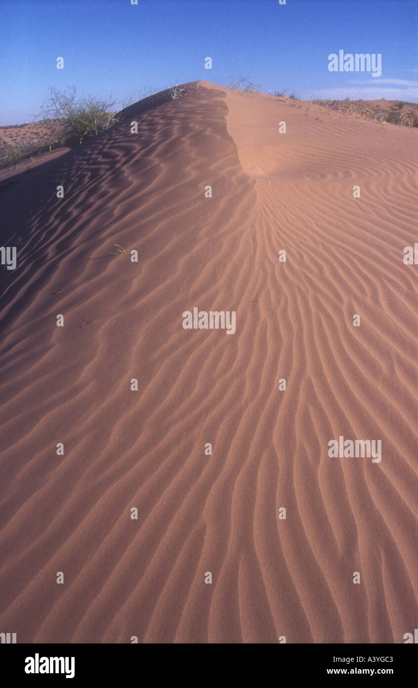 Dune di sabbia dal Monte deserto presso la Western Argentina Foto Stock