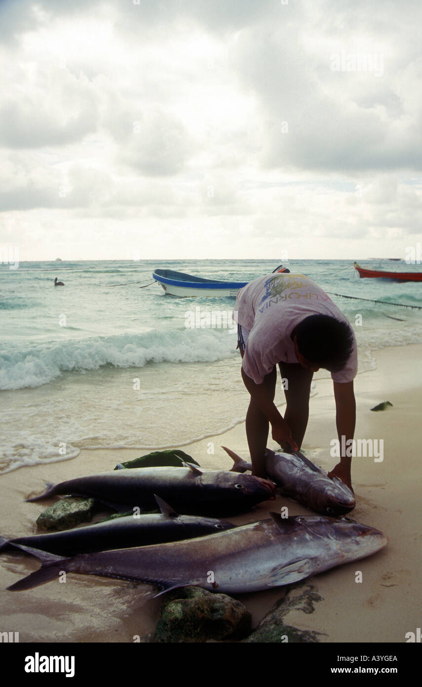 Pulizia di pescatori di tonno di pesci a Playa El Carmen in Yucatan Foto Stock