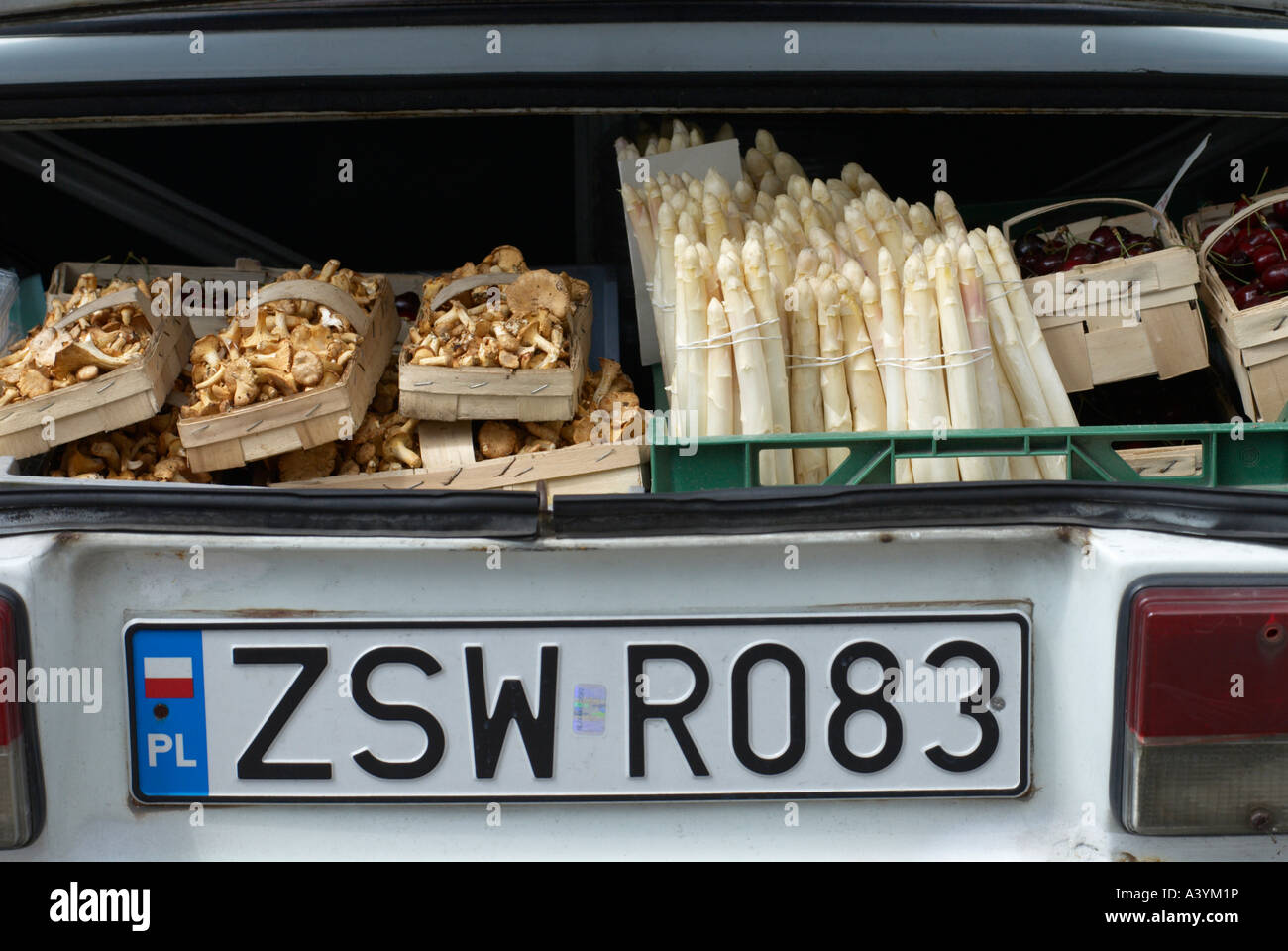 Un bagagliaio della vettura piena di funghi e asparagi Foto Stock