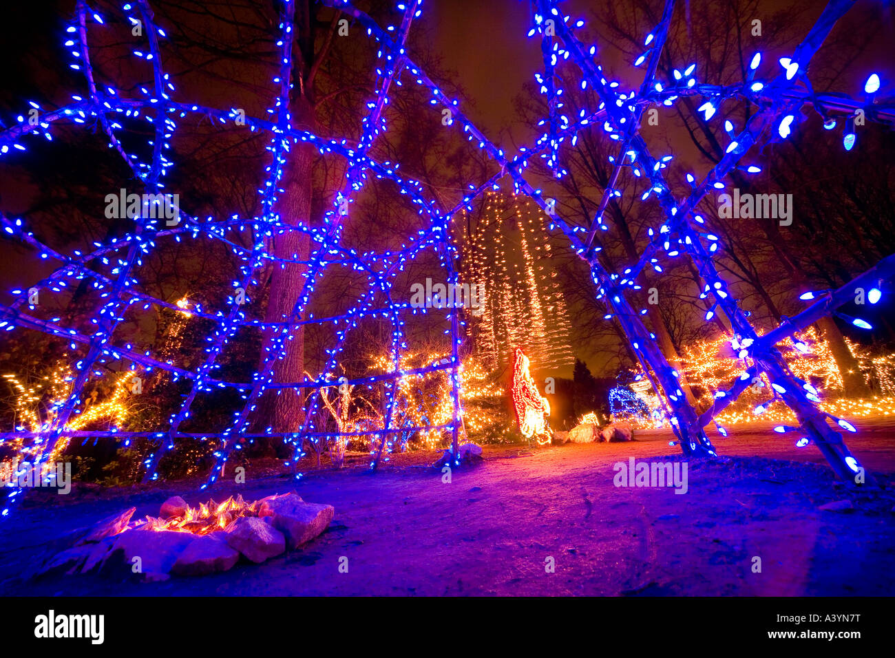 Brookside giardini di Natale luci LED display in Wheaton MD vicino a Washington DC. Guardando fuori da un LED blu igloo. Foto Stock