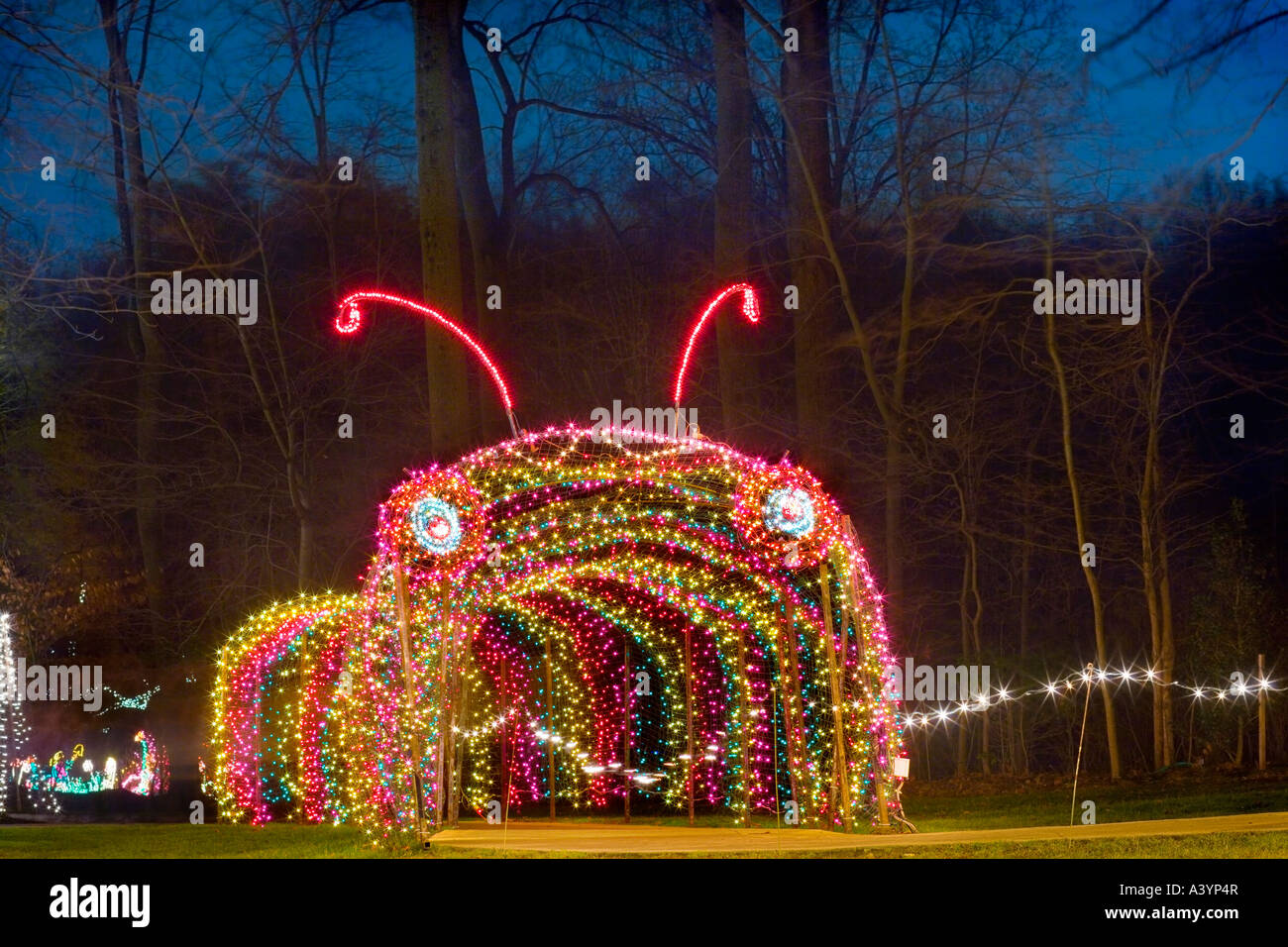 Brookside Giardini luci di Natale visualizzare in Wheaton MD vicino a Washington DC. Caterpillar tunnel entrata. Foto Stock