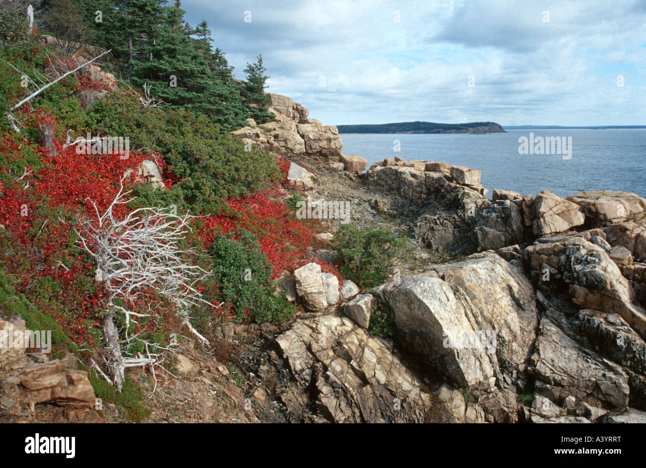 Lo scenario della costa in autunno, STATI UNITI D'AMERICA, Maine, Acadia NP Foto Stock
