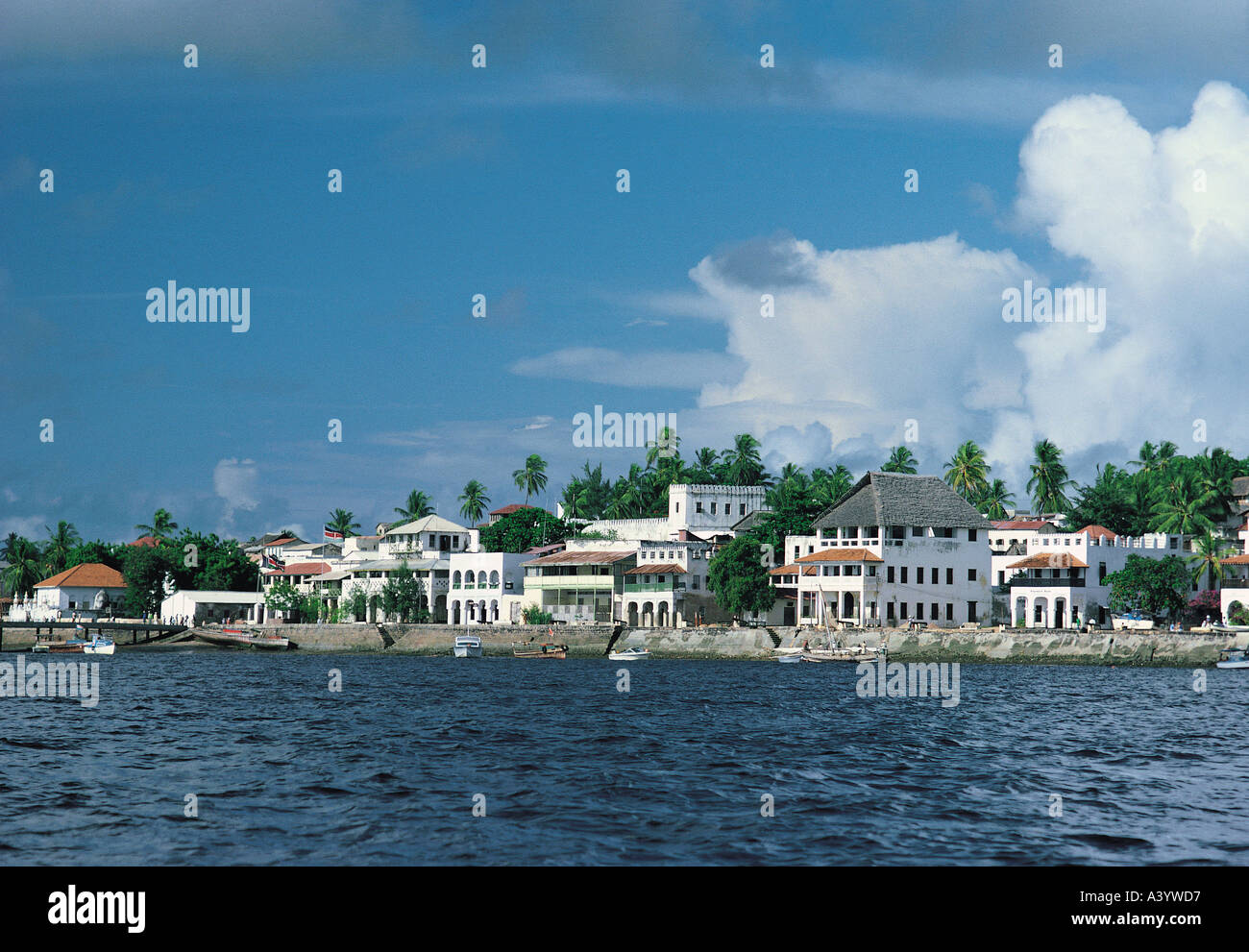 Lungomare di Lamu isola di Lamu Kenya Coast Africa orientale Foto Stock