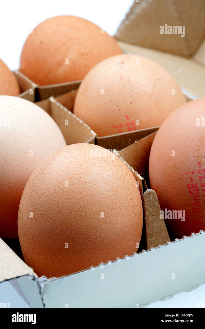 Scatola di cartone di uova Foto Stock