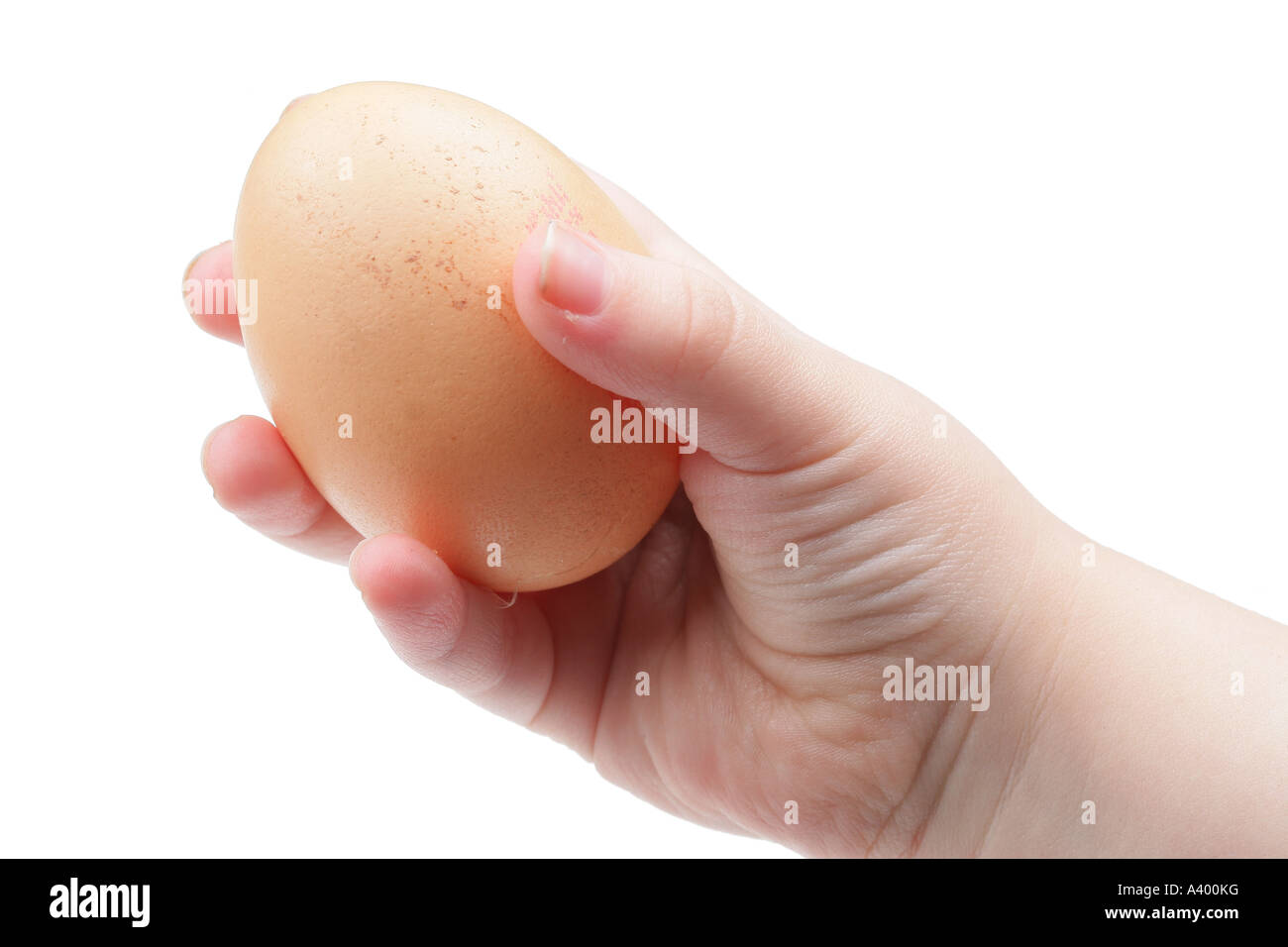 Bambino tenendo un uovo modello rilasciato Foto Stock