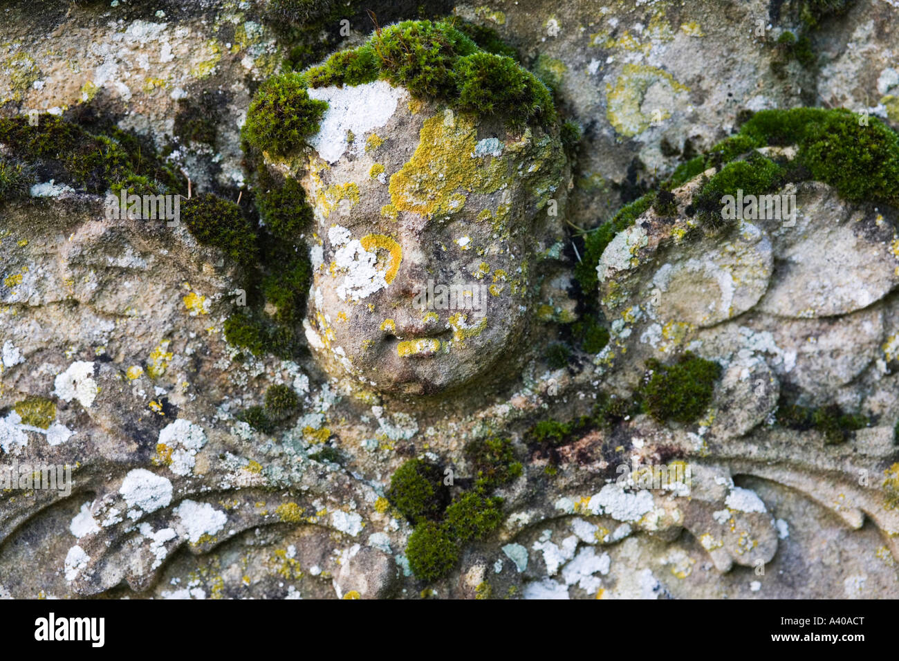 Close up di muschio coperto putti faccia sulla pietra tombale, poco Barrington, Cotswolds, REGNO UNITO Foto Stock