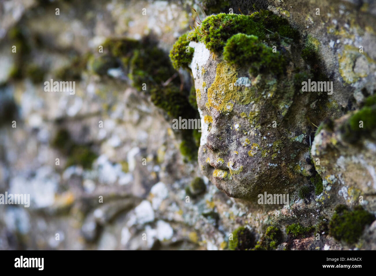 Close up di muschio coperto putti faccia sulla pietra tombale, poco Barrington, Cotswolds, REGNO UNITO Foto Stock