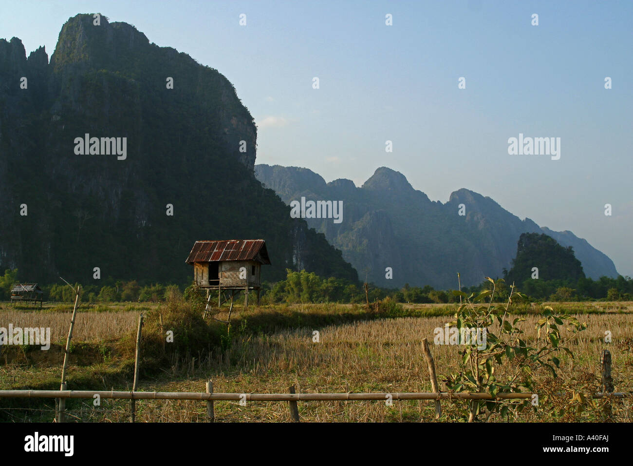 Montagne di bizzarro e fantastico paesaggio intorno Vang Vieng nel nord del Laos Foto Stock