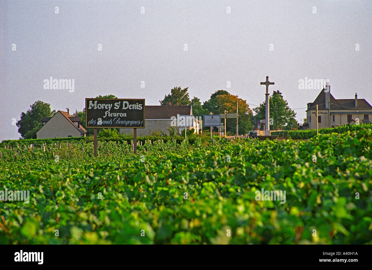 Segno nella vigna, Morey Saint Denis, e il villaggio, Bourgogne Foto Stock