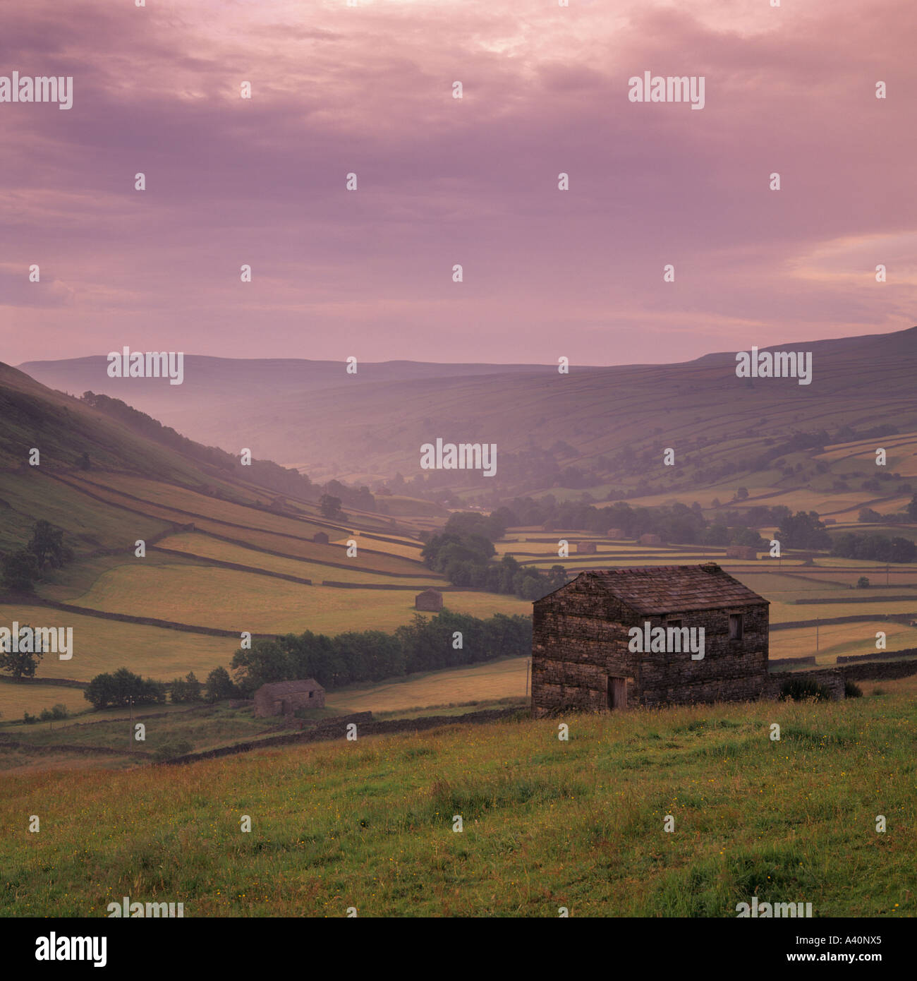Le Yorkshire Dales, Swaledale, granai in pietra vicino al villaggio di Keld Foto Stock