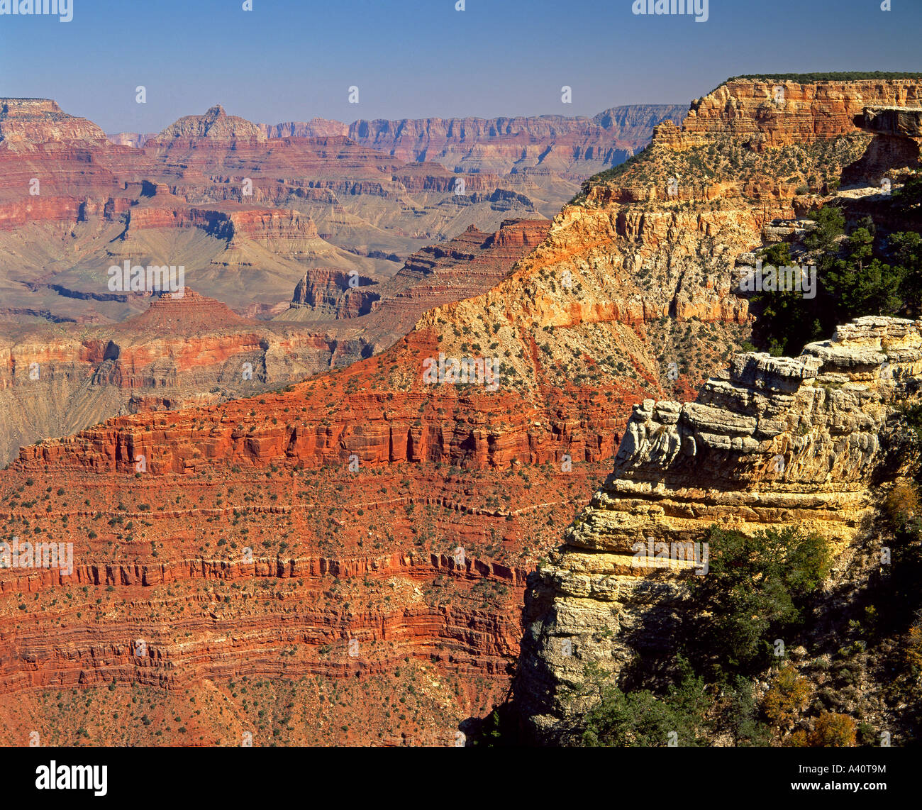 South Rim Grand Canyon Arizona USA Foto Stock