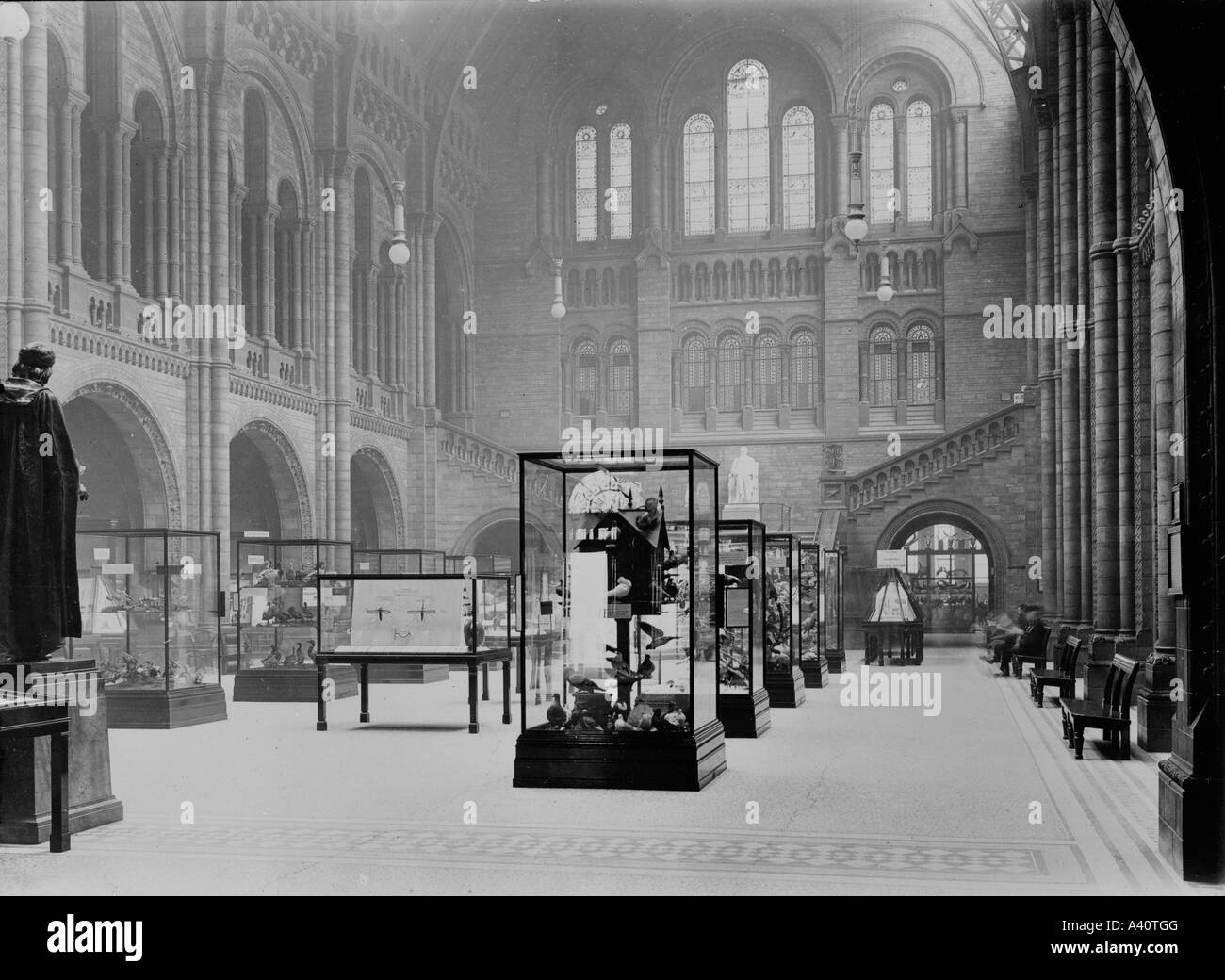 Casi di visualizzazione nella sala centrale presso il Museo di Storia Naturale di Londra Foto Stock