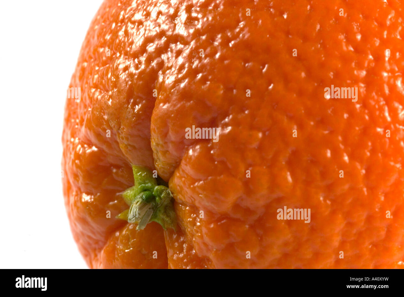 Orange in close up su sfondo bianco Foto Stock