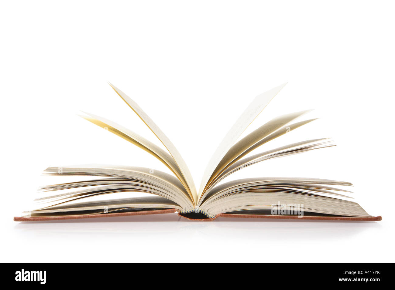 Libro Aperto ritagliata su sfondo bianco Foto Stock