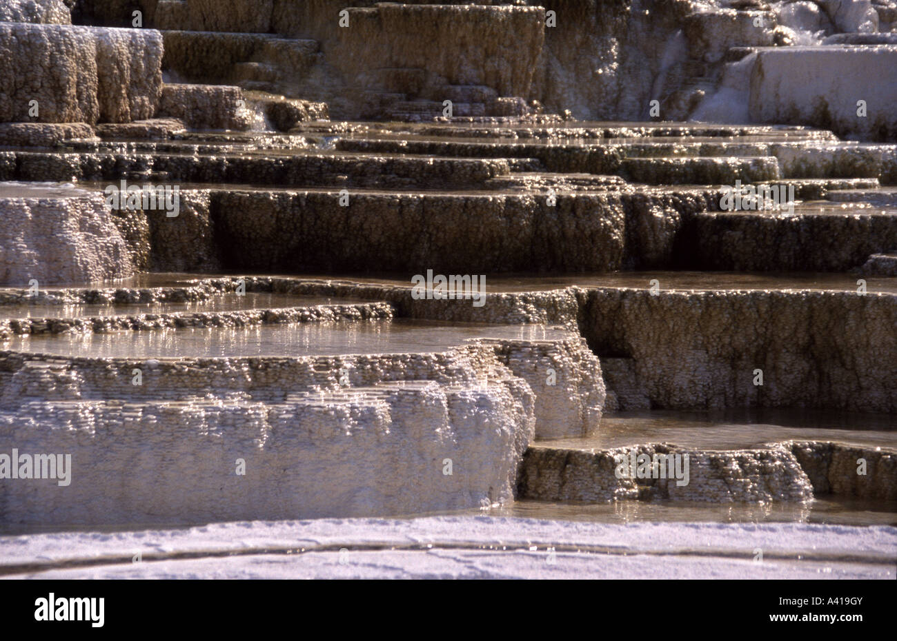Mammoth Hot Springs, molla tavolozza, il Parco Nazionale di Yellowstone, Wyoming USA Foto Stock